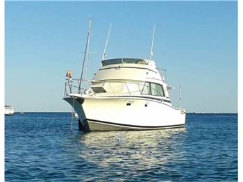 Bertram Yacht 38' Sport fish MK 3