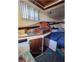 Ala Blu Proteo 23 FISHERMAN