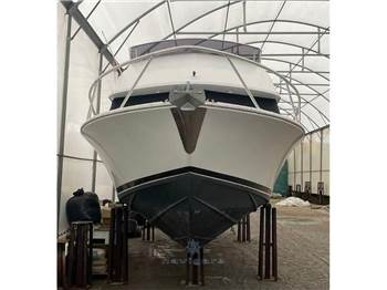 Bertram Yacht 28' SF