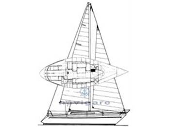 Zuanelli MILLER 31