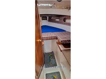 Tuccoli Ivano T 25' Moby Dick Tournament Cabin