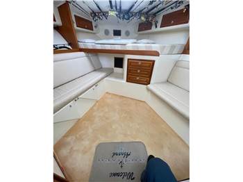 Carolina Classic CC 32