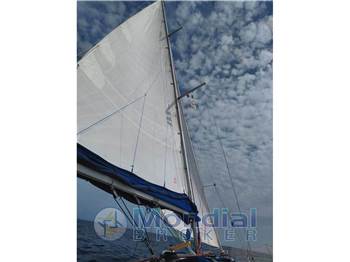 Elan Line ELAN 431