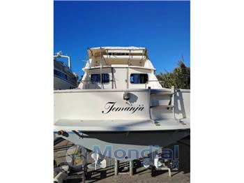 Bertram Yacht 28' Fbc