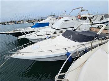 Cranchi Endurance 31