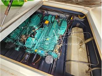 Cranchi Endurance 31