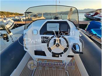 Salpa Soleil 28