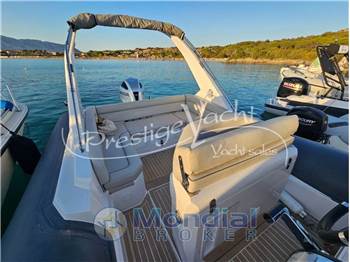 Salpa Soleil 28