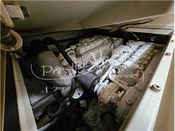 Magnum Marine 44