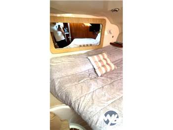 Salpa Laver 31.5