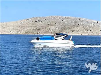 Salpa Laver 31.5
