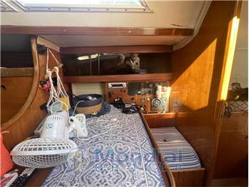 BENETEAU FIRST 35