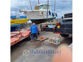 SESSA DORADO 28'