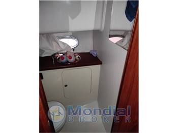 SESSA DORADO 28'