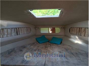 Sea Ray 300DA (Linea d'asse)