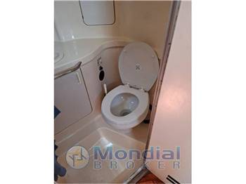 Sea Ray 300DA (Linea d'asse)