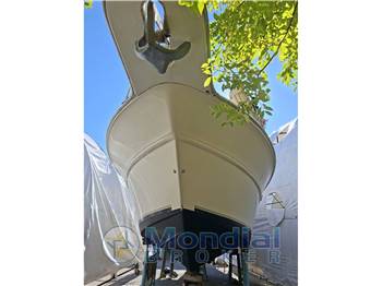 Sea Ray 300DA (Linea d'asse)