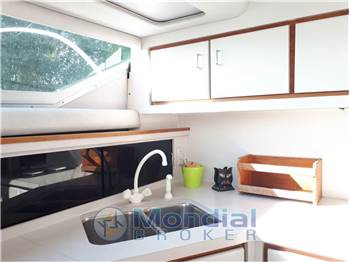 CRUISER INC. USA 4280