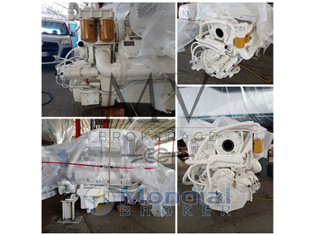 CRUISER INC. USA 4280