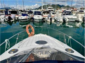 Salpa Laver 25.5