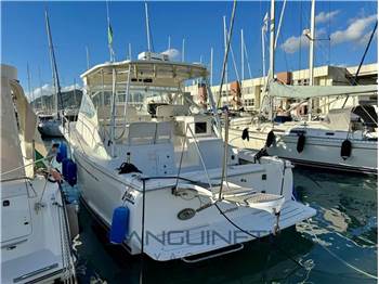 Luhrs 37 open