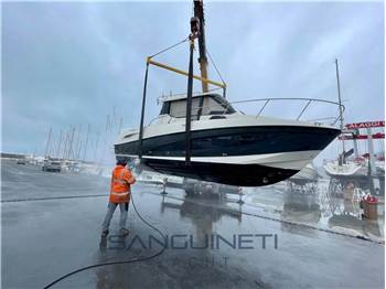 Quicksilver 855