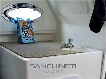 Aquabat limited edition 20 sport cruiser
