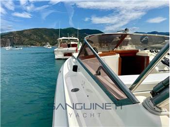 Molinari Falcon 29