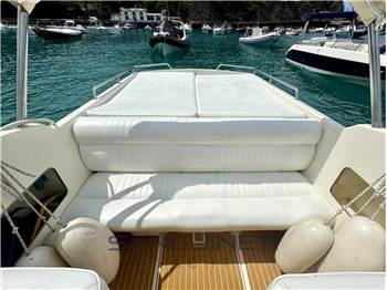 Molinari Falcon 29