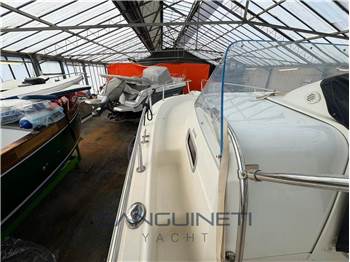 Kelt White shark 248