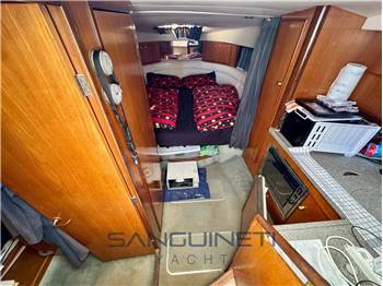Fairline 31 targa