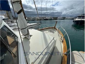 Ruocco Nauticart pilotina armonia