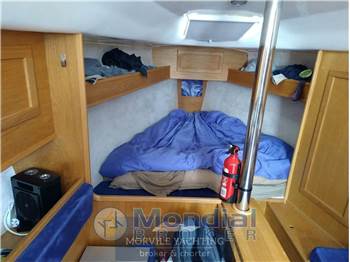 Nauti poland Focus 850