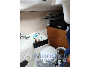Nauti poland Focus 850
