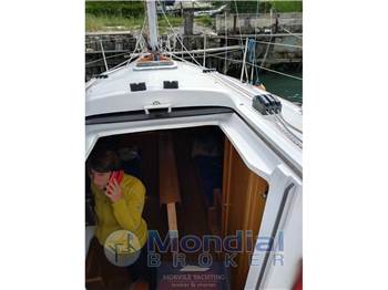 Nauti poland Focus 850