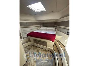 Mochi craft Dolphin 51