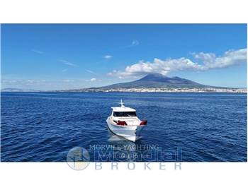 Mochi craft Dolphin 51
