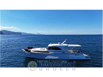 Mochi craft Dolphin 51