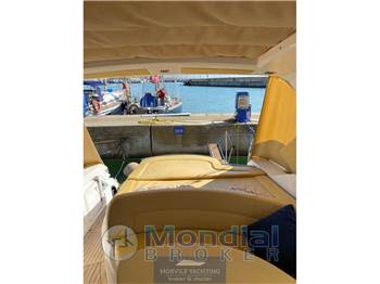 Sessa marine C42