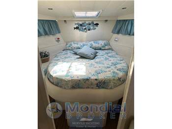 Rizzardi Cr 40 day