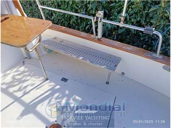 Sciallino 25