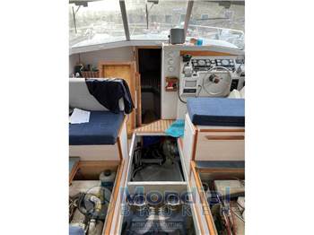 Bertram 32 carribean
