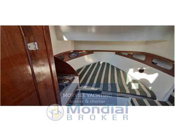 Plastimare Amelia 800