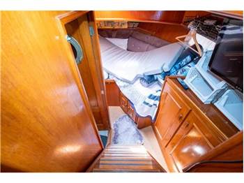 Pedro boat Trawler pedro bora 38