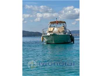Boston Whaler 25 REVENGE