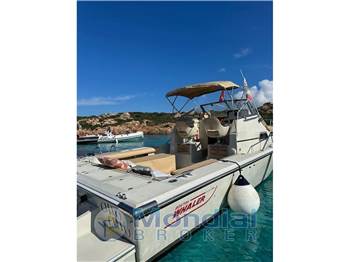 Boston Whaler 25 REVENGE