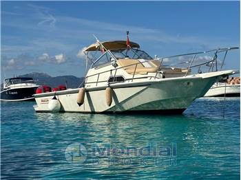Boston Whaler 25 REVENGE