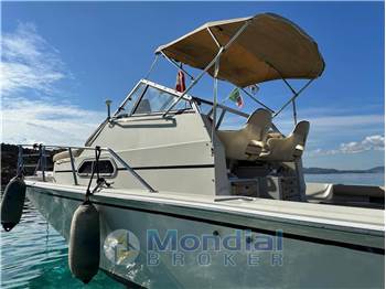 Boston Whaler 25 REVENGE