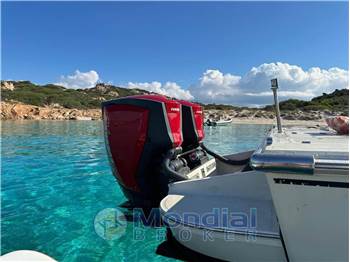 Boston Whaler 25 REVENGE
