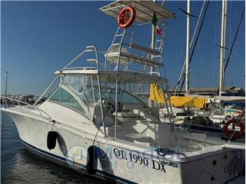 Luhrs LUHRS 36 OPEN